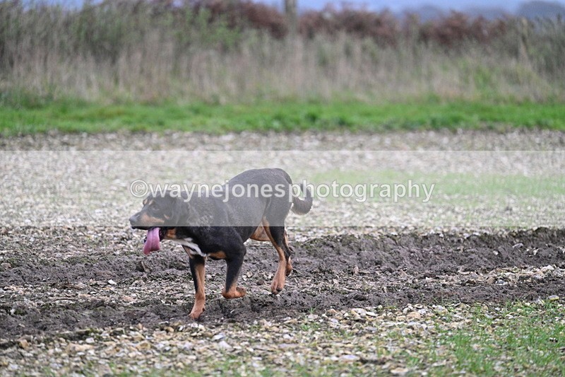 WJ7_0259 - Camera 1 & Last fence