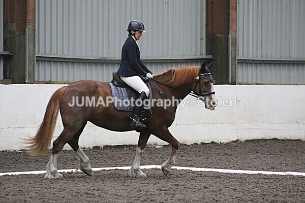 SIAL5621 - CAbin Dressage 5th july 2025