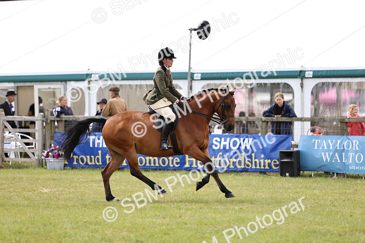 SBM_14565 - Class 88-89 - LIHS BSHA Rising Star of Ridden Hunter Type