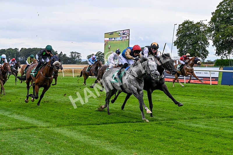 280826-Race 4-Deep Havana-4516 - Race 4 4pm Ivegate Building Handicap