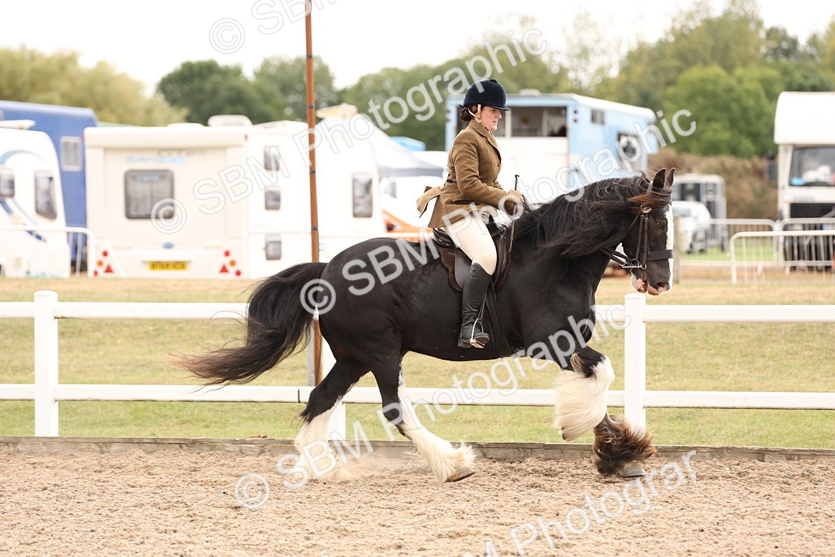 SBM_19669 - Class 216 - Ridden Traditional - Native Cob