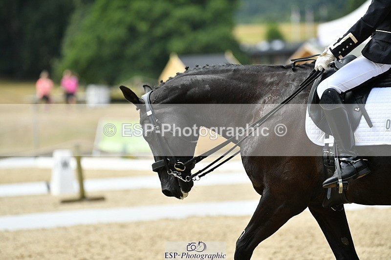 250718A-143429-02151 - 043-Jules.Praed-ENIGMA