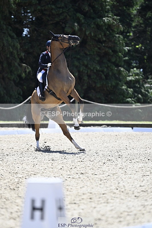 250522A-120144-03336 - B-321-Laura.Collett-BALANCERO