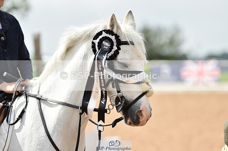 230902A-120402-00916 - Cls 2B Pony Small 80cm