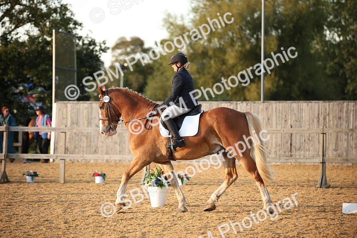 SBM_31528 - D11 - Small Tour Championship - Prelim 13