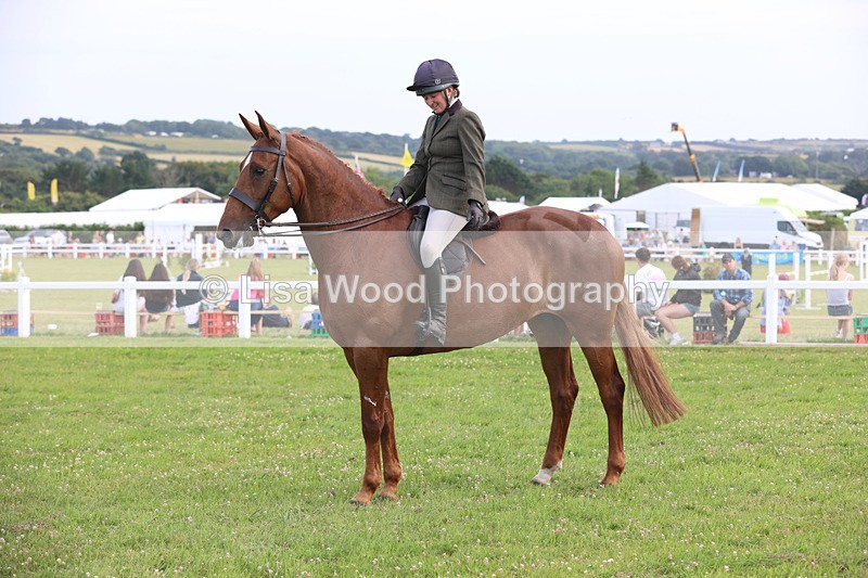JPP_4535 - Class 26: Working Hunter 1m