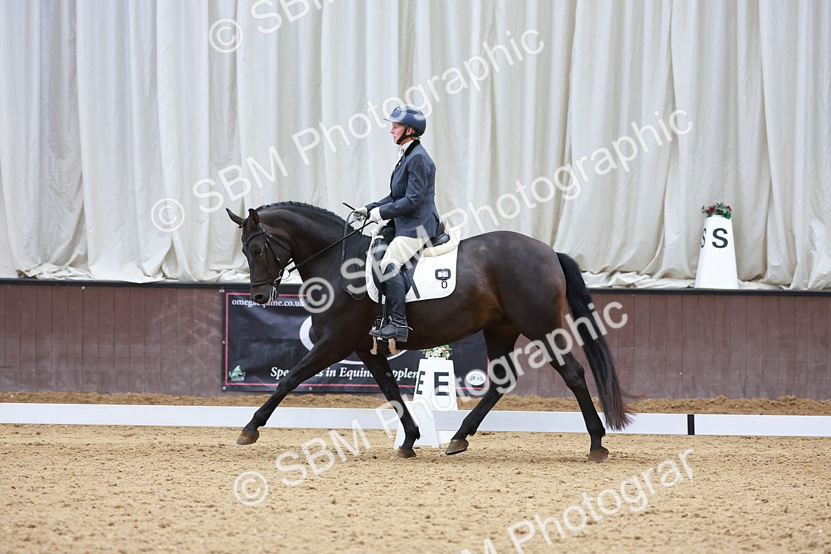 SBM_007540 - Class 4-5-6 - Prel 3-Novice 2-Ele 2