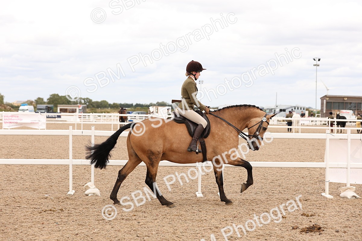 SBM_17213 - Class 213 - Ridden Hunter - Large