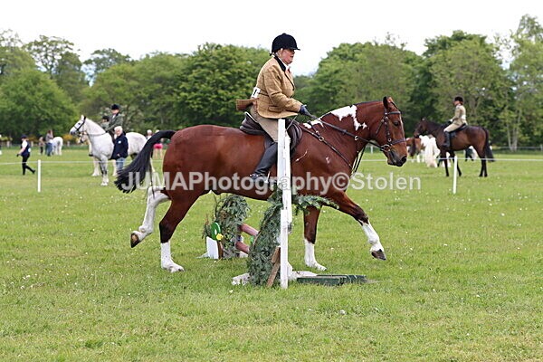 IMG_2806 - Working Hunter