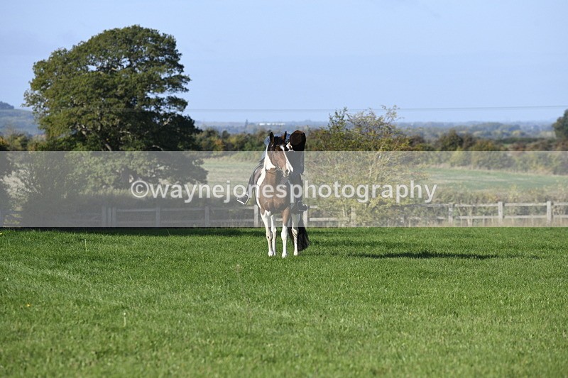 _DSC3968 - Time 08:53 to 09:55