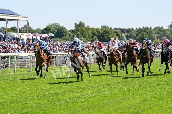 110725-Race 2-Sayidah Dariyan-4098 - Race 2 2.45pm William Hill Summer Stakes