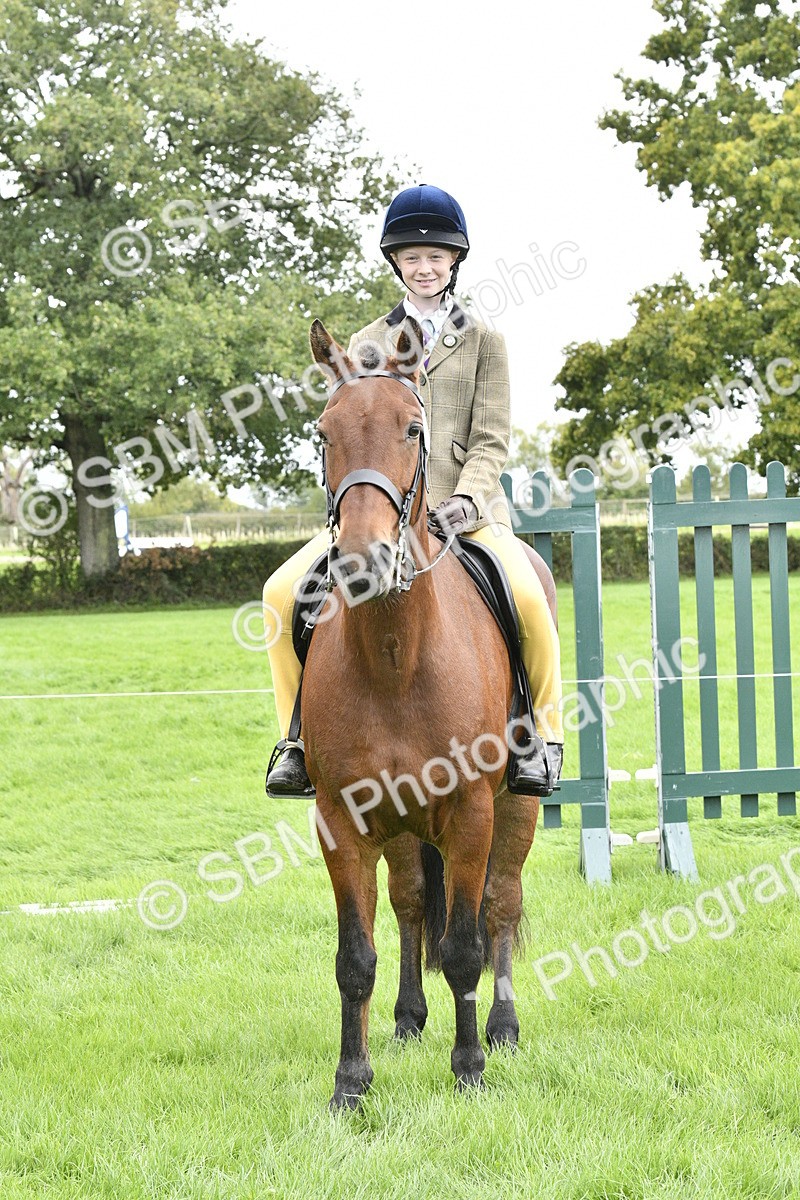 SBM_41611 - S32 - Mountain & Moorland Working Hunter Pony