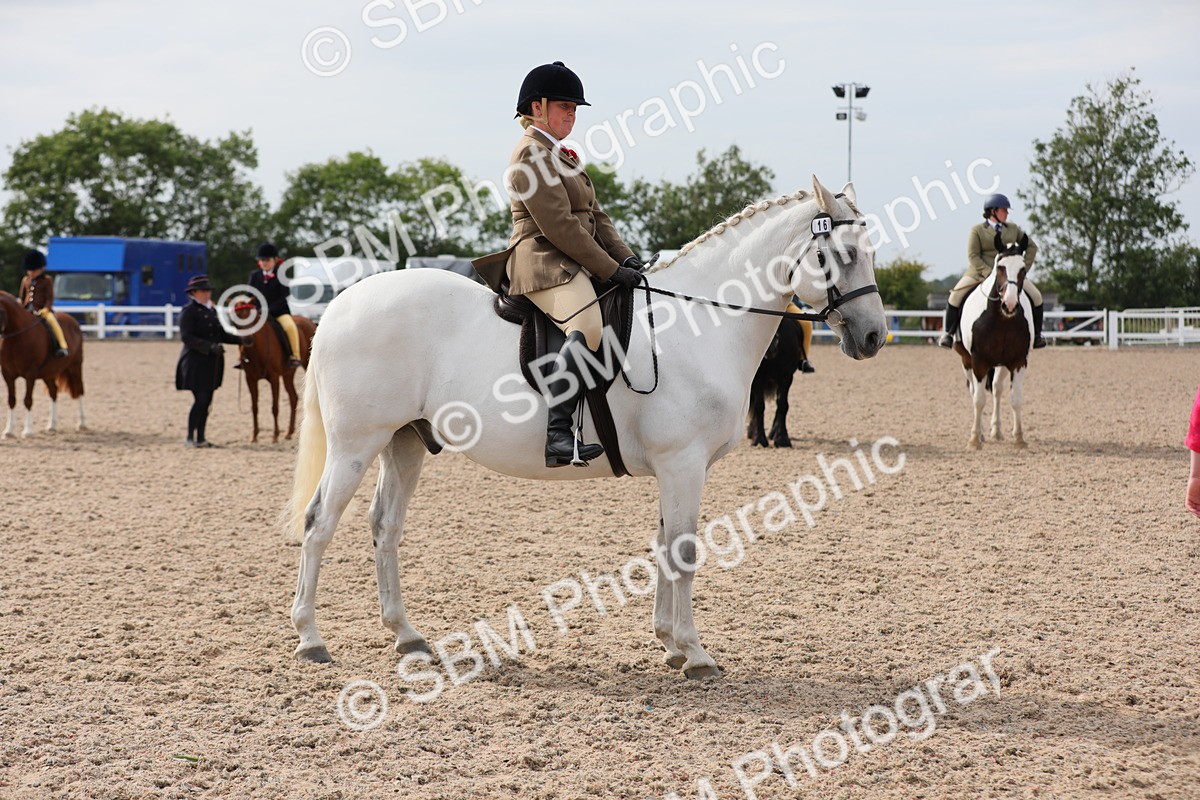 SBM_16989 - Class 314 Family Horse/Pony