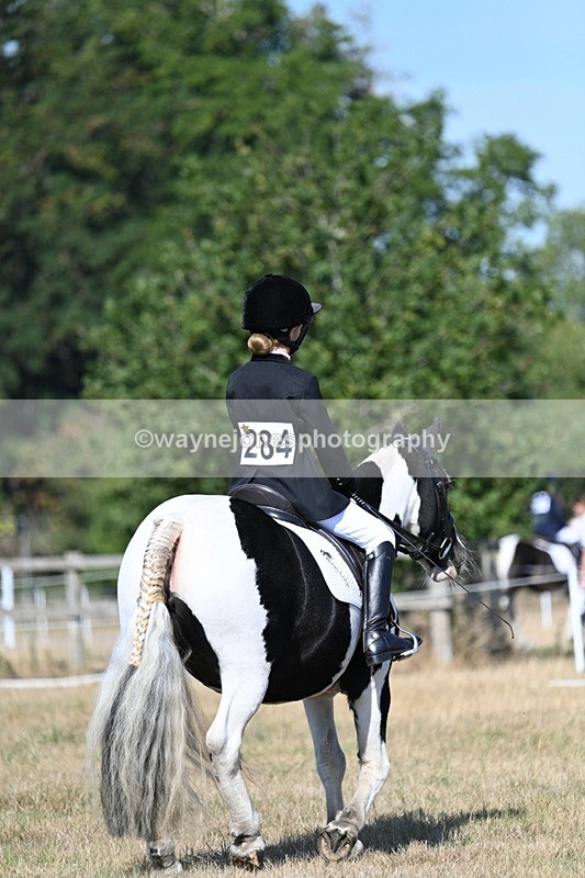 WJ7_9408 - Time 10:08 to 10:13