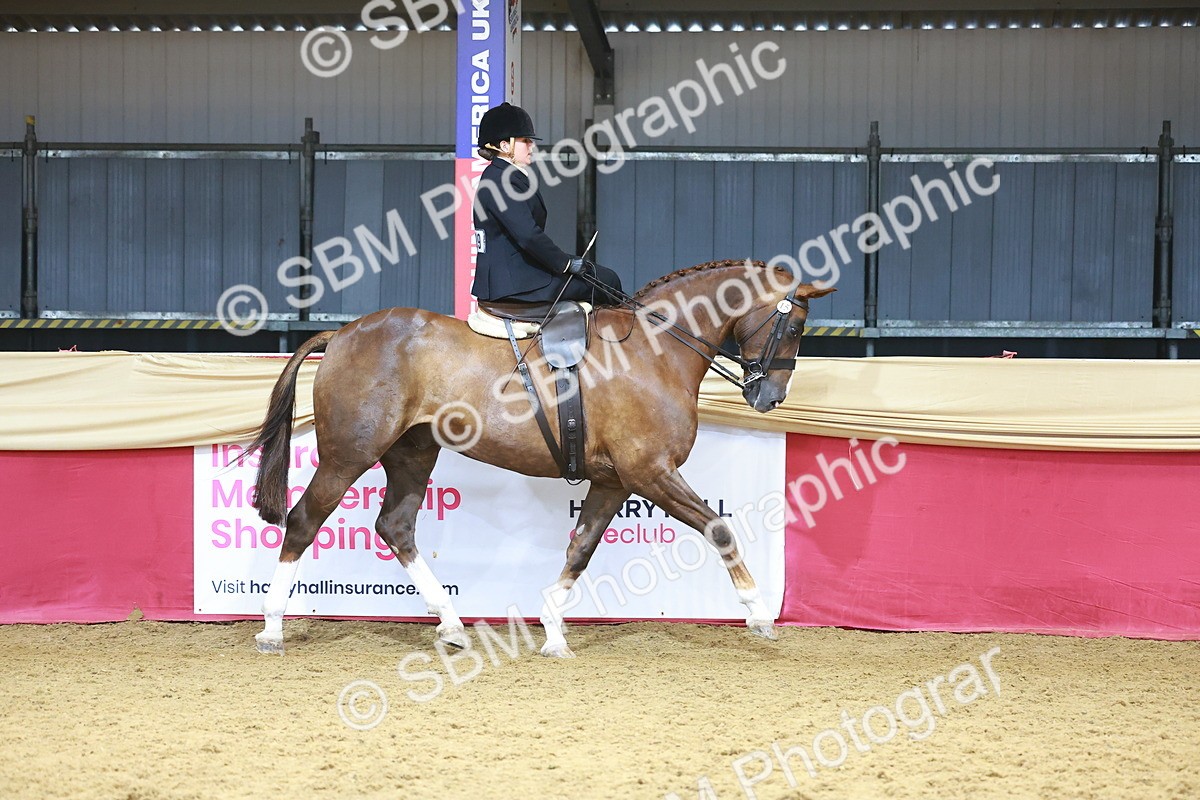 SBM_12418 - Class 103 - HOYS Veteran Qualifier - Ridden Pre Vet