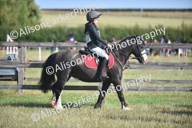 20260906-0943 - Class 7 - Absolute Novice Jumping 35cm