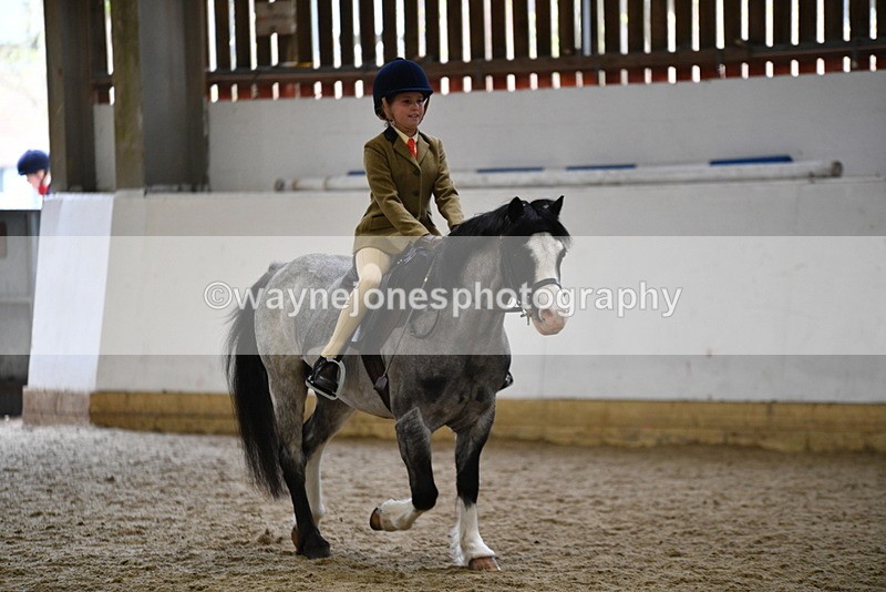 WJ5_6885 - Class 10 Childs Pony