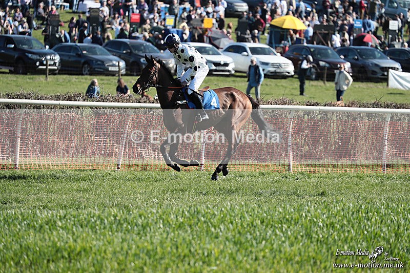PtP 210326 258 - VWH Cirencester Races 21/03/26