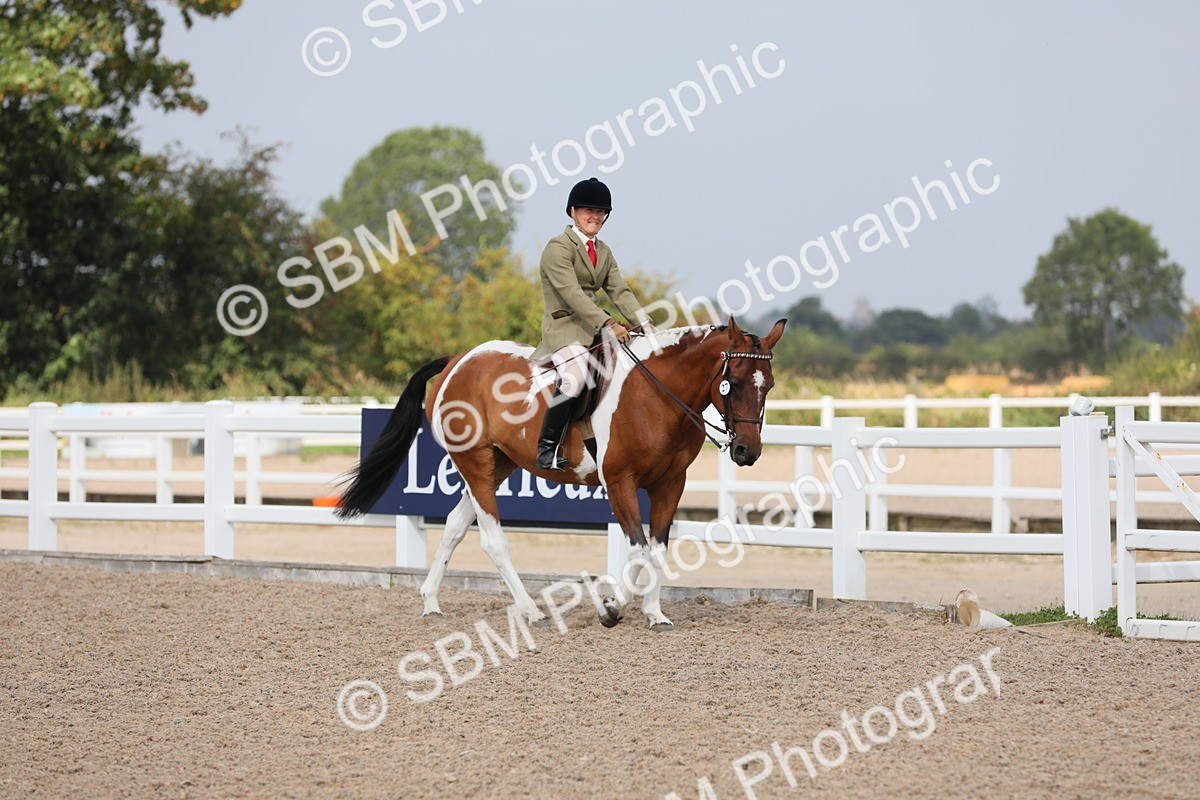 SBM_13326 - Class 308 Ridden Coloured Horse
