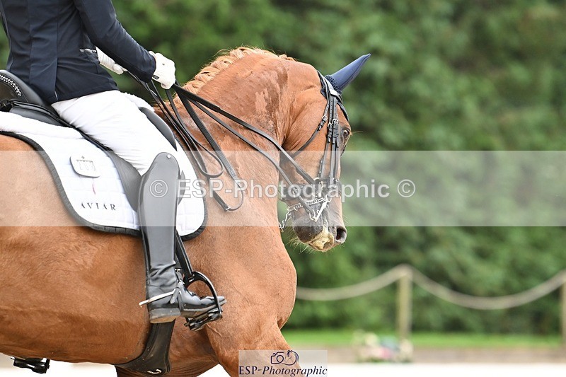 240811-113354-05206 - 208-Tom.Carter-Rubin.Regal