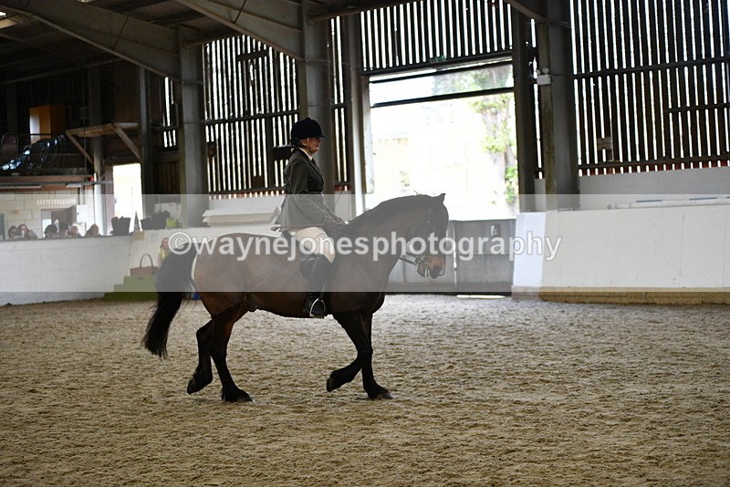 WJ5_6166 - Class 9 Ridden Veteran