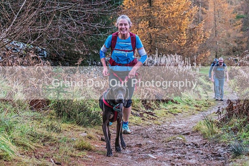 TVU 50  60K-718 - High Terrain Events Tweed Valley 50 & 65K Ultra Trail Races Sunday 19th November 2023
