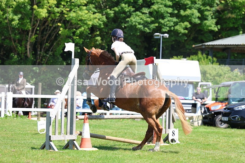 3E7A7125 - Class 30: Novice Working Hunter