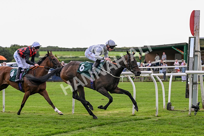 220626-Race 4-Velvet Rhythm-9208 - Race 4 16.00pm Congratulations To The Happy Couple EBF Fillies' Handicap