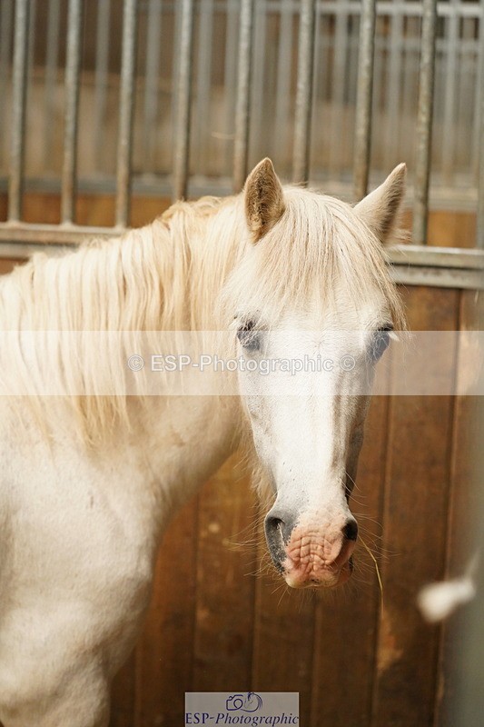 240809A-134756-01031 - Stable Shots