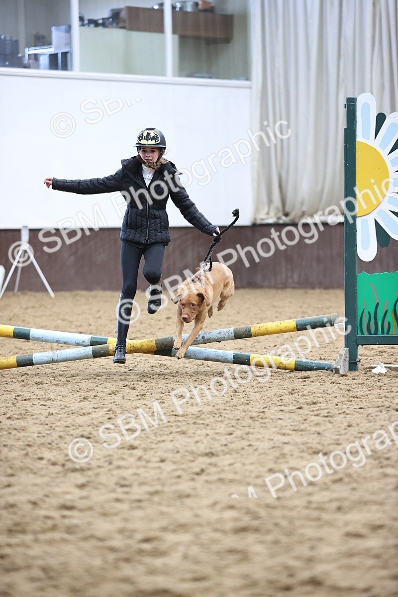 SBM_001308 - Class 3 - Horse & Hound 60cm