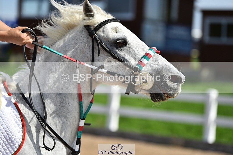 230903A-124150-04519 - Cls 19 Pony Discovery & 90cm Open