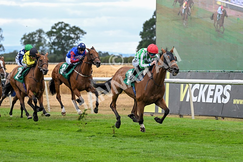 070826-Race 5-Master Vintner-1981 - Race 5 16.10pm William Hill, Market Place, Thirsk Handicap