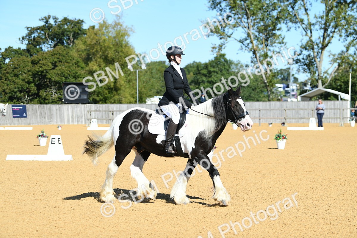 SBM_18208 - D4 - Small Tour Championship - Intro B