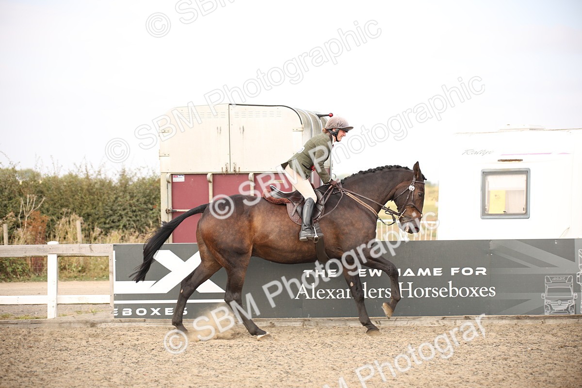 SBM_17167 - Class 409b - Working Veteran 80cm (20+)