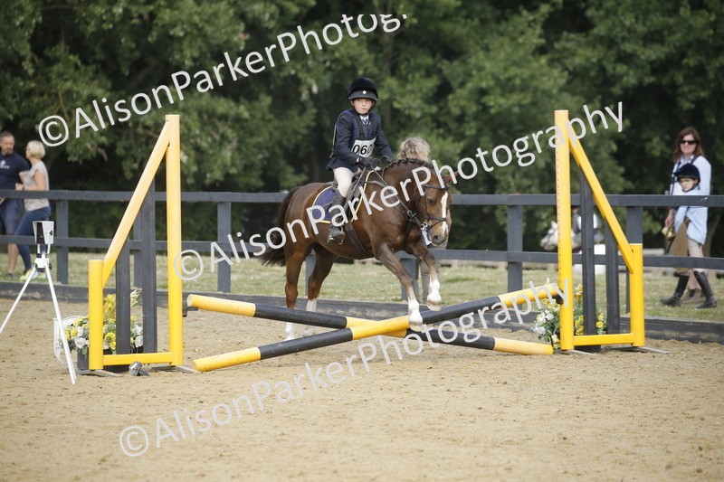 20250622-3668 - 50cm