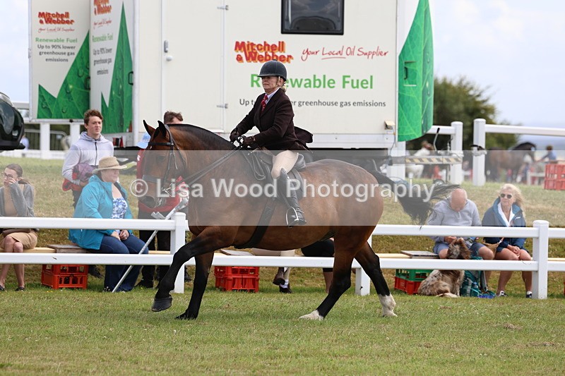 3E7A0611 - Rising Star Ridden Championship