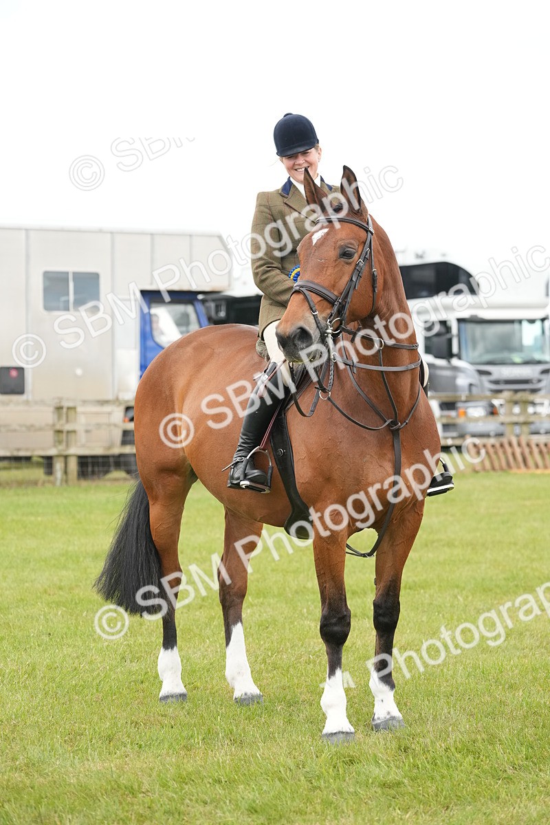 SBM_00031 - Class 100-102 - RIHS Working Hunter