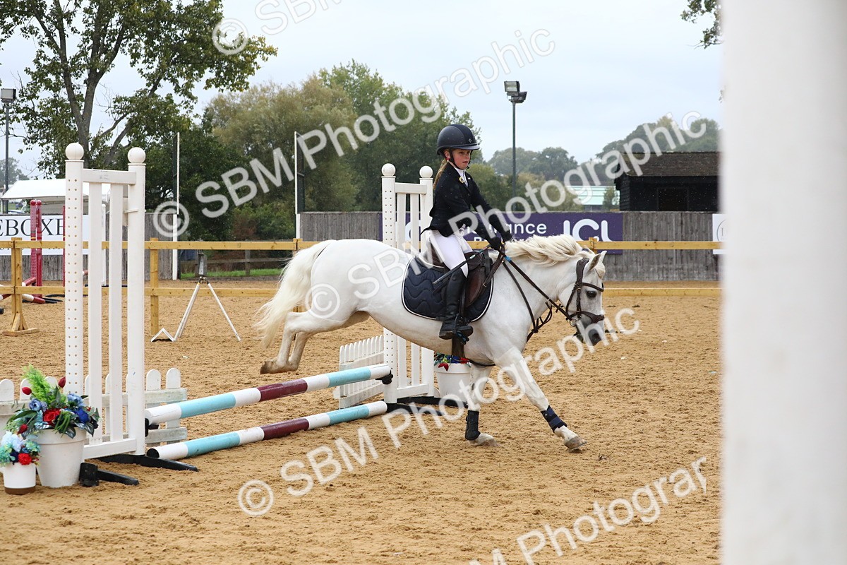 SBM_72034 - J3b - Mini Tour Junior Pony 40cm Championship