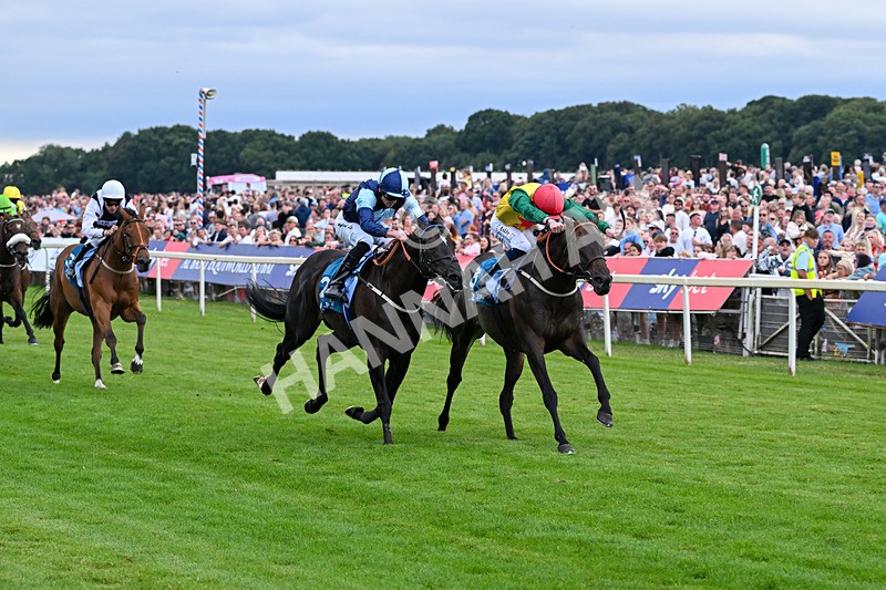 250726-Race 7-Flight Control-7799 - Race 7 16.52pm Sky Bet Extra Places Handicap