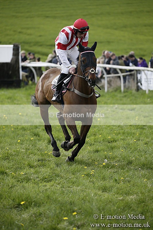 PtP 170417 419 - Old Berks Point-to-Point Lockinge 17/04/17