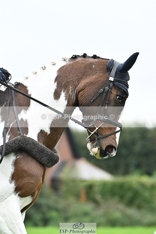 241024-135506-04247 - 331-Amber.Williams-COSMIC.MIKADO