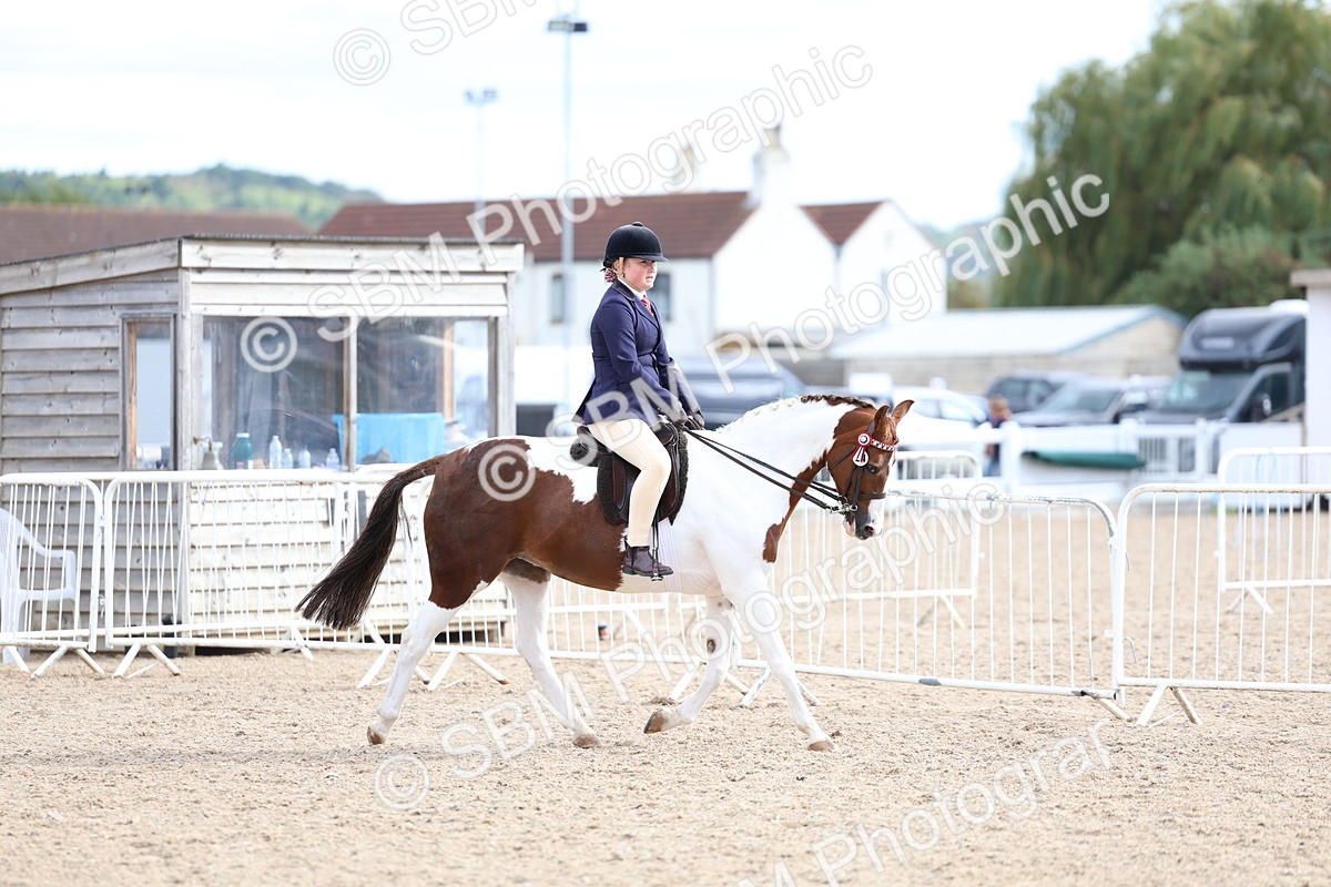 SBM_17500 - Class 316 - Best Pony - Rider Combination