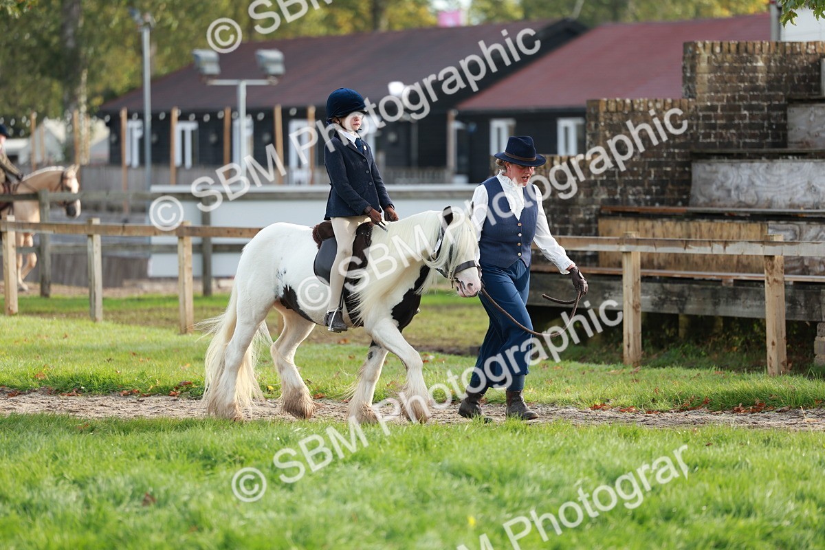 SBM_56288 - S39 - Starters In Hand Showing