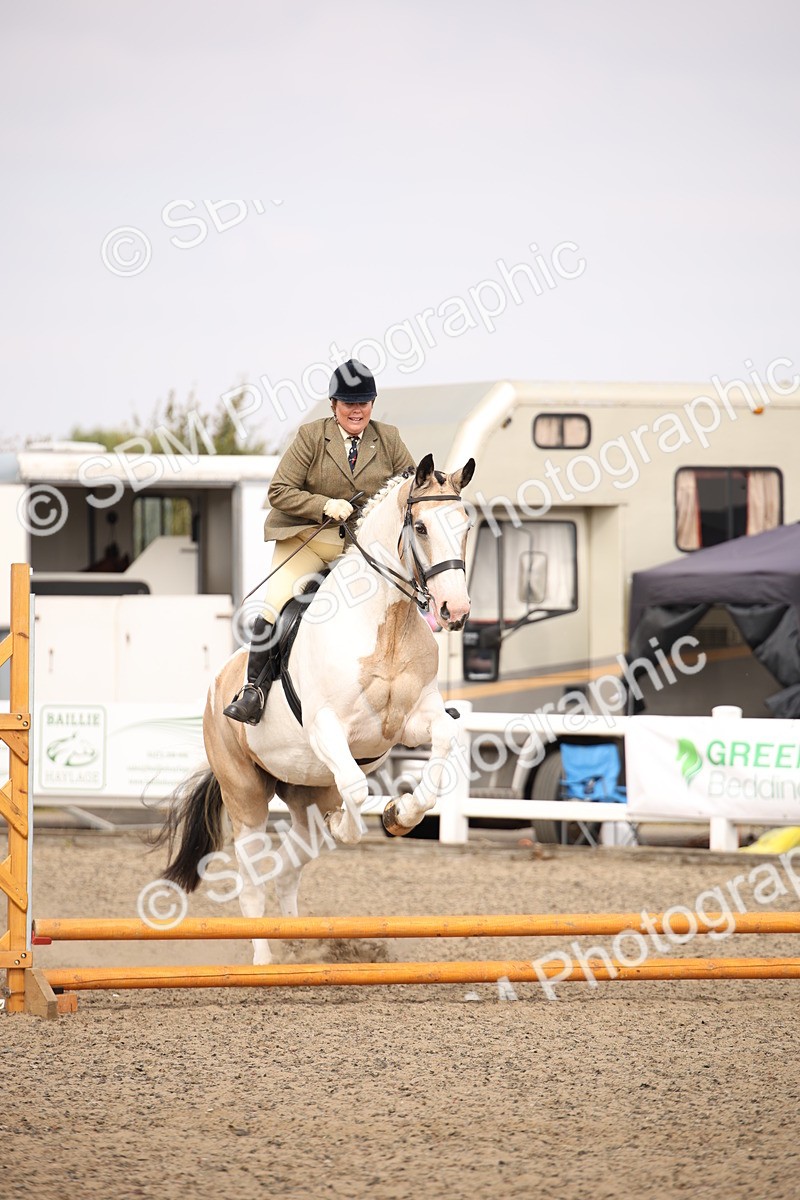 SBM_12918 - Class 406a - Working Veteran 50cm (15-19)