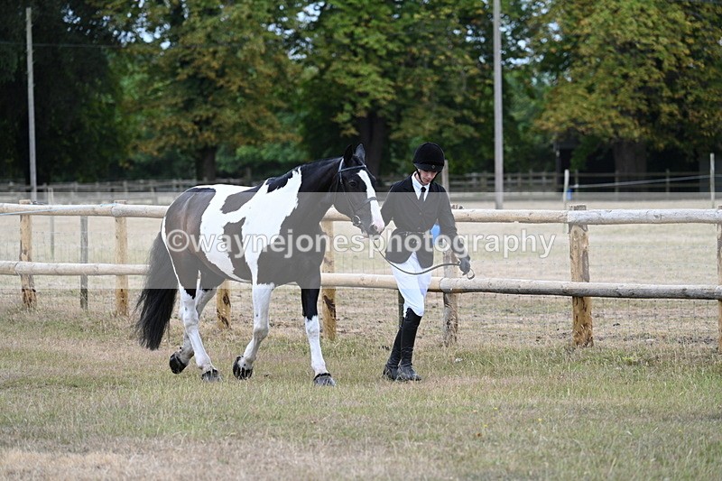 WJ7_8825 - Class 4a Prettiest Mare 14.2hh and over