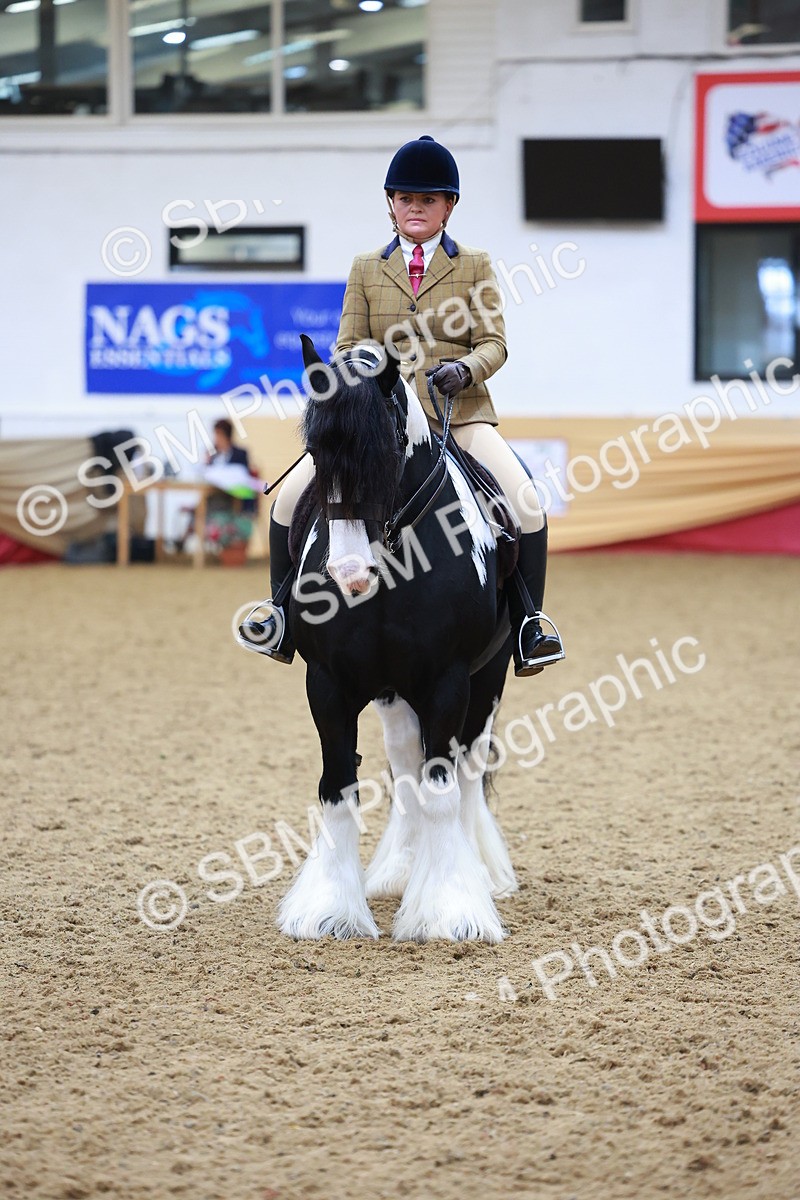 SBM_06272 - Class 12R - Ridden Pre-Vet