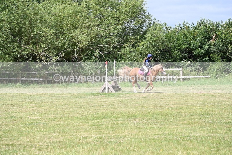 WJ6_6876 - 80cm XC Pairs