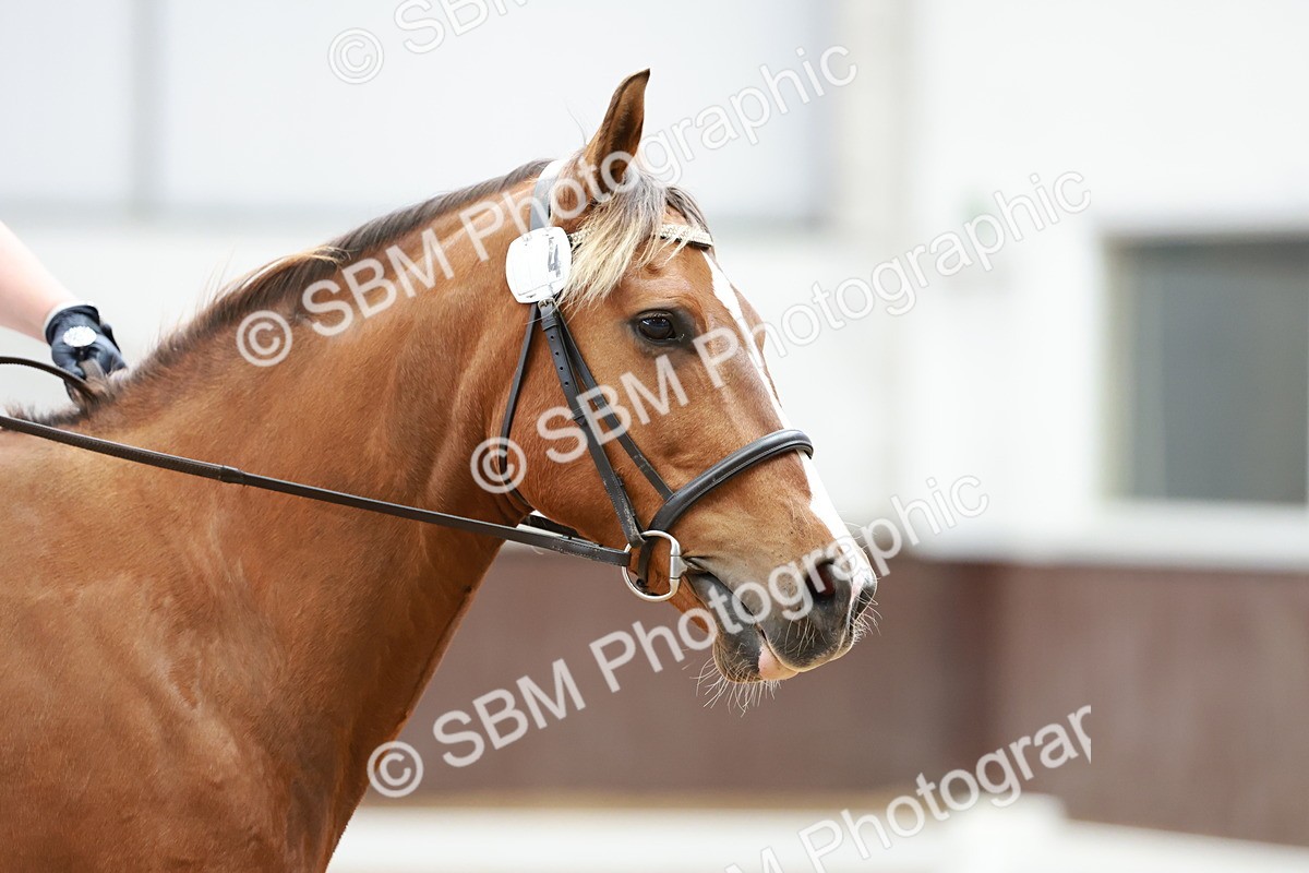 SBM_013790 - Class 6 - MQ Open P1