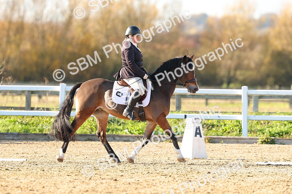 SBM_001660 - Medium 4