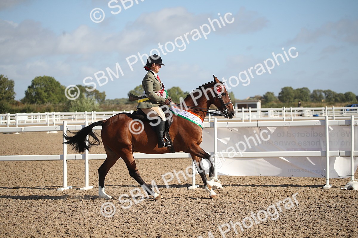 SBM_22751 - Class 601 - 2026 - Area - Ridden Diamond